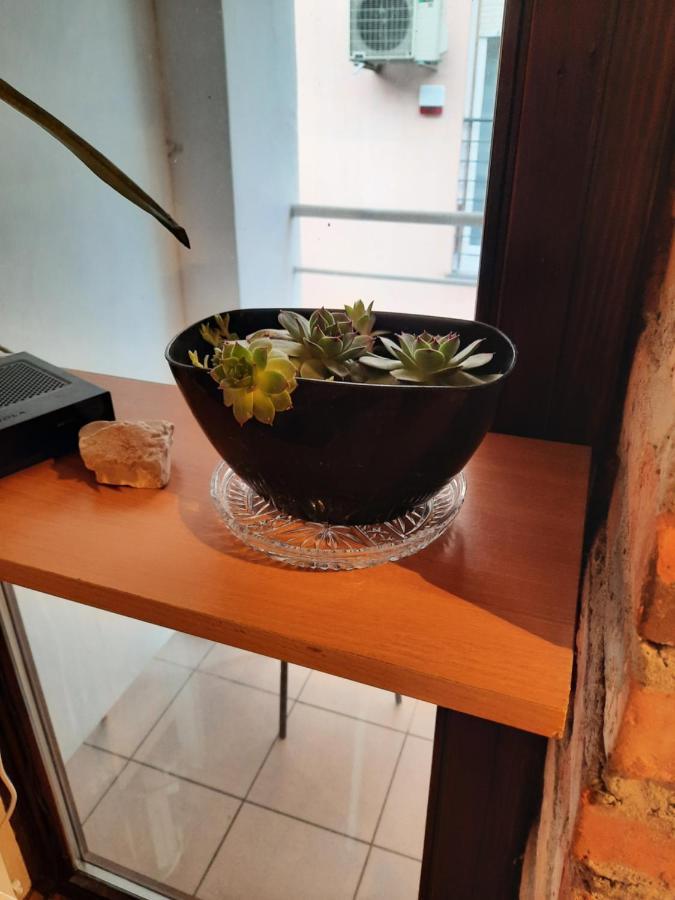 Studio Apartment 萨格勒布 外观 照片